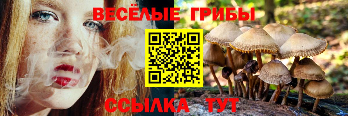 Галлюциногенные грибы ЛСД  Псилоцибиновые грибы Cubensis  Брянск  магазин    Вход с VPN 